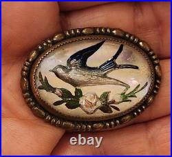 1900's Victorian Reverse Painted Swallow Bird Lapel Pin Brooch Bubble Glass Pink