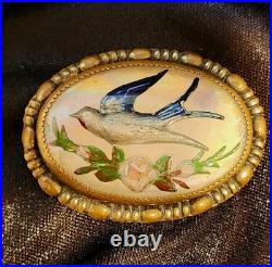 1900's Victorian Reverse Painted Swallow Bird Lapel Pin Brooch Bubble Glass Pink