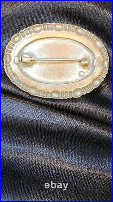 1900's Victorian Reverse Painted Swallow Bird Lapel Pin Brooch Bubble Glass Pink