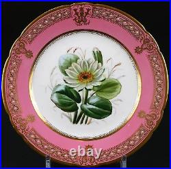 19th Century Staffordshire Rose Pompadour Botanical Dessert Service, hand-painte