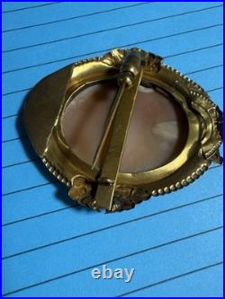 ANTIQUE Edwardian 1909 HAND CARVED SHELL