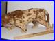 ANTIQUE VICTORIAN LRG 12 JUAGUAR HAND STICHED FUR CHILDs TOY DOLL TAXIDERMY
