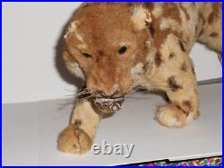 ANTIQUE VICTORIAN LRG 12 JUAGUAR HAND STICHED FUR CHILDs TOY DOLL TAXIDERMY