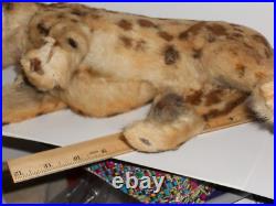 ANTIQUE VICTORIAN LRG 12 JUAGUAR HAND STICHED FUR CHILDs TOY DOLL TAXIDERMY