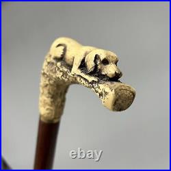 ATQ 1900s Hand Carved Mahogany Wood & Bone 36 Walking Cane Hound Dog Handle