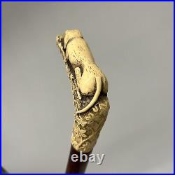 ATQ 1900s Hand Carved Mahogany Wood & Bone 36 Walking Cane Hound Dog Handle