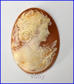 Antique Cameo Hand Carved Victorian Shell Circa 1860s Rose Keeper Italian Large