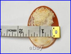Antique Cameo Hand Carved Victorian Shell Circa 1860s Rose Keeper Italian Large