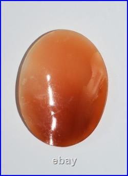 Antique Cameo Hand Carved Victorian Shell Circa 1860s Rose Keeper Italian Large