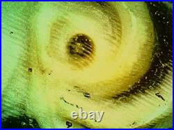 Antique Cameo Hand Carved Victorian Shell Circa 1860s Rose Keeper Italian Large