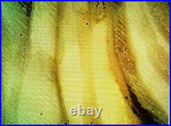 Antique Cameo Hand Carved Victorian Shell Circa 1860s Rose Keeper Italian Large