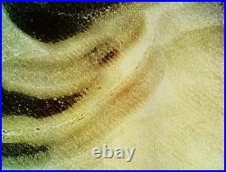 Antique Cameo Hand Carved Victorian Shell Circa 1860s Rose Keeper Italian Large