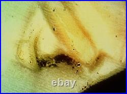 Antique Cameo Hand Carved Victorian Shell Circa 1860s Rose Keeper Italian Large