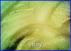 Antique Cameo Hand Carved Victorian Shell Circa 1860s Rose Keeper Italian Large