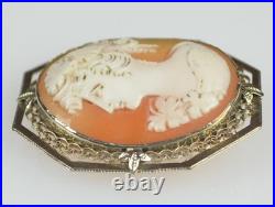 Antique Hand Carved Cameo Brooch Pin Locket-straight Nose-silver Tone Surround
