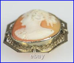 Antique Hand Carved Cameo Brooch Pin Locket-straight Nose-silver Tone Surround