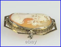 Antique Hand Carved Cameo Brooch Pin Locket-straight Nose-silver Tone Surround