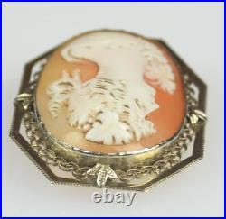 Antique Hand Carved Cameo Brooch Pin Locket-straight Nose-silver Tone Surround