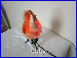 Antique Hand Carved Conch Seashell Cameo Lamp Nightlight Works Excellent