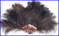 Antique Hand Fan Black Ostrich Feather Imitation Tortoiseshell Sticks Guards