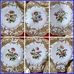 Antique Minton Gilt Hand Painted Botanical Dessert Set 7 Plates, 2 Compotes