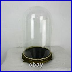 Antique Round Hand Blown Glass Globe Dome Taxidermy Steampunk Clock 15.7 9.44