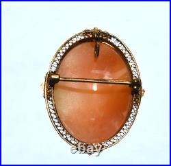 Antique Victorian 10K Gold Mediterranean Conch Shell Cameo Pin Pendant