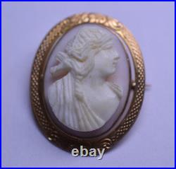 Antique Victorian 10k Yellow Gold Hand Carved Conch Shell Cameo Pin 1 Inch High
