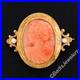 Antique Victorian 14k Gold Carved Coral Cameo with Hand Engraved Frame Brooch Pin