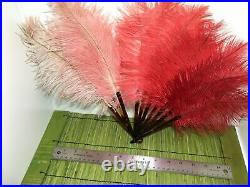 Antique Victorian Austria Pink Red Ostrich Feather Faux Tortoiseshell Hand Fan