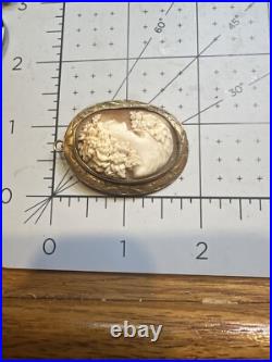Antique Victorian Cameo Hand Carved 10K Gold Etched Brooch, Very Detailed Grapes
