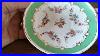 Antique Victorian Hand Decorated Floral China Saucer Free Teacup