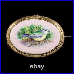 Antique Victorian Hand Painted Blue Tit Brooch 18ct Gold Gilt Circa 1890