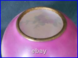 Antique Victorian Hand Painted Milk Glass Ball Shade