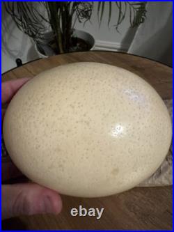 Antique Victorian Hand Painted Ostrich Egg African Scene c1900. Antique Egg