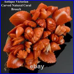 Antique Victorian Momo Natural Coral Hand Carved Brooch Pin Large Flower Gold