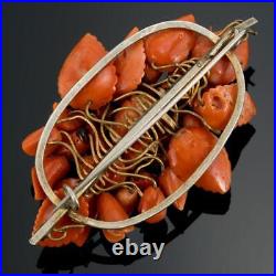 Antique Victorian Momo Natural Coral Hand Carved Brooch Pin Large Flower Gold