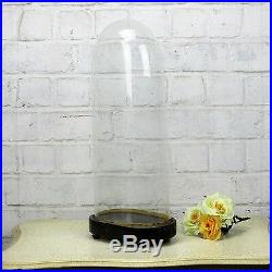 Antique Victorian Oval Hand Blown Glass Globe Dome Doll Clock Display 17.32 H