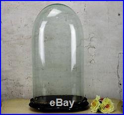 Antique Victorian Oval Hand Blown Glass Globe Dome Doll Clock Display 17.71 H