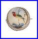 Antique Victorian Silver Brooch With Hand Painted Exotic Bird Miniature c. 1880