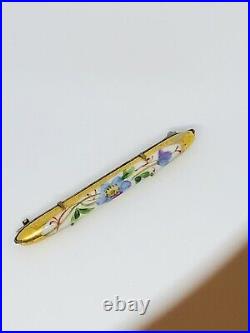 Antique Vtg Victorian Hand Painted on Porcelain Multicolor Flower Bar Pin 2.5