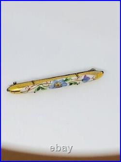 Antique Vtg Victorian Hand Painted on Porcelain Multicolor Flower Bar Pin 2.5