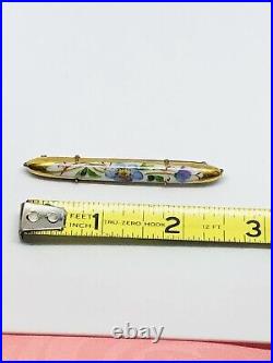 Antique Vtg Victorian Hand Painted on Porcelain Multicolor Flower Bar Pin 2.5