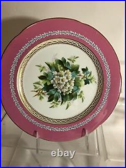 Antique hand painted English Pink-ground blue band botanical plates 11pc 19c