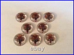 Eight(8) Victorian Essex Crystal Fox Face 3/4 Round Unmounted Hand Painted