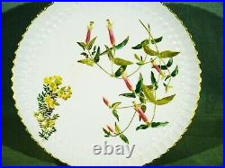 Elegant Set 12 Antique Spode Copeland Hand Painted Floral Plates 8 1/4 1883-86