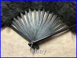 Fabulous Antique Victorian Ostrich Plume Hand Fan with Ebony Sticks