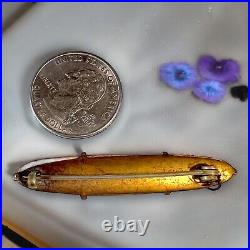 Hand Painted Porcelain Violets Portrait Bar Brooch Victorian Gold Filled Vintage