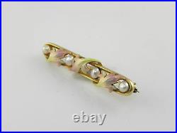 Ladies Vintage Victorian Hand Enameled Flower Pin