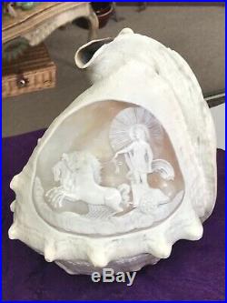 Large Victorian Antique Hand Carved Cameo Conch Shell Horse Chariot